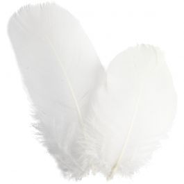 Plumes d'oies - rond, L : 5-8 cm, blanc, 3 gr/ 1 Pq. [HOB-51816]