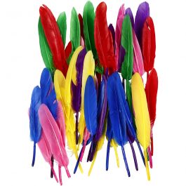 Plumes, L : 13 cm, ass. de couleurs, 48 pièces/ 1 Pq. [HOB-51817]