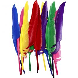 Federn, L 27 cm, Sortierte Farben, 12 Stk/ 1 Pck [HOB-51819]