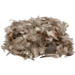 Perlhuhnfedern , Natur, 50 g/ 1 Pck [HOB-51822]