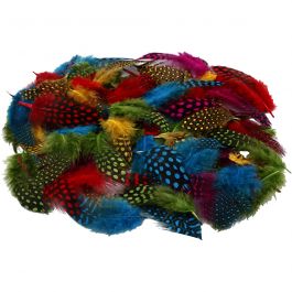 Perlhuhnfedern , Sortierte Farben, 50 g/ 1 Pck [HOB-51823]