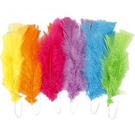 Federn, L 11-17 cm, Sortierte Farben, 18 Bündl./ 1 Pck [HOB-518460]