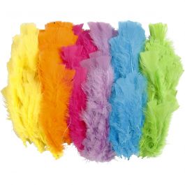 Federn, L 11-17 cm, Sortierte Farben, 144 Bündl./ 1 Pck [HOB-51846]