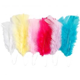 Federn, L 11-17 cm, Sortierte Farben, 18 Bündl./ 1 Pck [HOB-518490]
