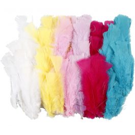 Federn, L 11-17 cm, Sortierte Farben, 144 Bündl./ 1 Pck [HOB-51849]