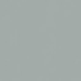 Rouleau Papier Cadeau Couché couleur Argent (1 pièce) [FP-IO5743]