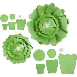 Fleurs en papier, d 15+25 cm, 230 gr, vert, 2 pièces/ 1 Pq. [HOB-599907]