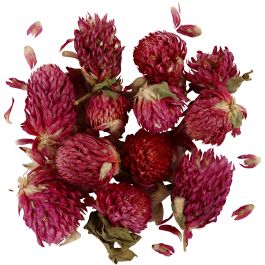 Fleurs Séchées, Trèfle rouge, L : 1,5-2,5 cm, d 1 - 1,5 cm, 15 gr, violet, 1 Pq. [HOB-709502]