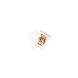 Sachet plastique plat grand format 29x36+4cm Refermable par Rabat Adhésif (100 pièces) [B11]