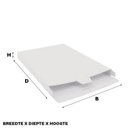 Carton pour Colis 16 x 25 x 2,9 cm blanc (100 pcs) [FP-VPD006]