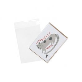 Sachet plastique transparence cristalline 12,5x18+3cm avec Rabat Adhésif (100 pièces) [B47]