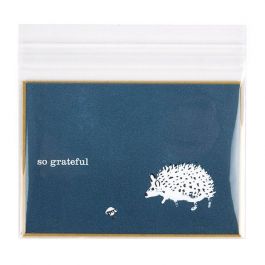 Sachet plastique transparence cristalline 13,5x9,2cm avec Rabat Adhésif (100 pièces) [B53XL]