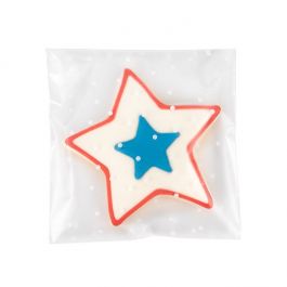 Sachet Plastique glacés 12,7x12,7 cm Avec poids et rabat adhésif (100 pièces) [B55FD]
