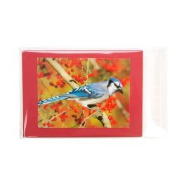 Sachet plastique transparence cristalline 14,6x19,7cm avec Rabat Adhésif (100 pièces) [B57M]