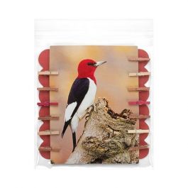 Sachet plastique transparence cristalline 14,5x14,1cm avec Rabat Adhésif (100 pièces) [B5X5M]