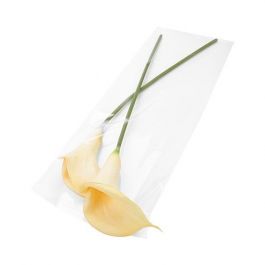Sachet plastique plat grand format 21,9x59,7cm Refermable par Rabat Adhésif (100 pièces) [B823]