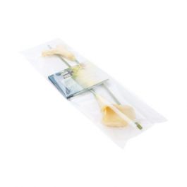 Sachet plastique plat grand format 21,4x69,2cm Refermable par Rabat Adhésif (100 pièces) [B827]