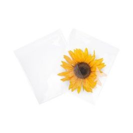 Sachet plastique plat grand format 22,1x21,7cm Refermable par Rabat Adhésif (100 pièces) [B8X8M]