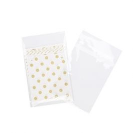 Sachet plastique plat grand format 15,5x21,5+3cm Refermable à Fermeture “Sécurisée” (100 pièces) [BA5SPC]