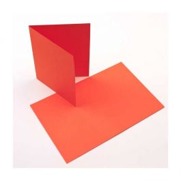 Glückwunschkarten Orange 17.8x12.4cm (50 Stück) [PC009]