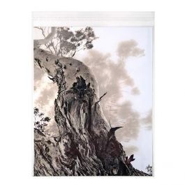 Sachet plastique plat grand format 28,6x35,9cm Refermable par Rabat Adhésif (100 pièces) [B11S]