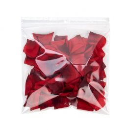 Sachet zip à transparence cristalline avec trou de suspension européen + trou d'aération 22,9x22,9cm (100 pièces) [ZR99V]