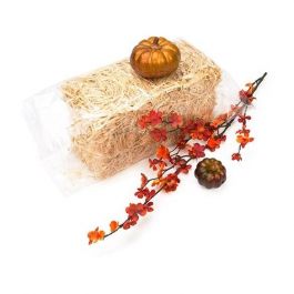 Sachets en plastique 30,5x45,7 cm en polypropylène transparent (100 pièces) [FP11218]