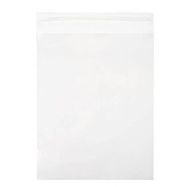 Umweltfreundliche Beutel 22.7x28.6cm Transparent - Premium (100 Stück) [GC811]