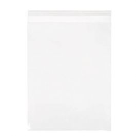 Umweltfreundliche Beutel 24x31.1cm Transparent - Premium (100 Stück) [GC9]