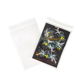 Sachet Plastiques 21.3x30.3cm Transparent et Refermable (100 pcs) [KO-30159]