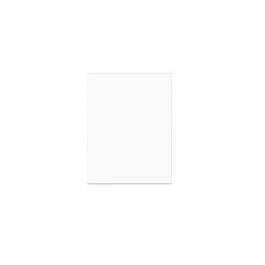 Flachbeutel 22.2x28.5cm OPP Transparent (100 Stück) [B811SNF]