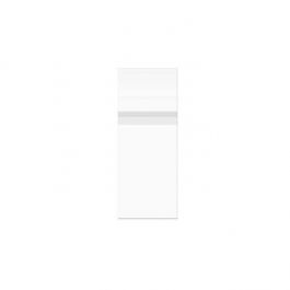 Sachet plastique plat grand format 21,9x59,7cm Refermable à Fermeture “Sécurisée” (100 pièces) [B823PC]