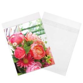 Sachet plastique plat grand format 21,4x22,7cm Refermable à Fermeture “Sécurisée” (100 pièces) [B108SPC]