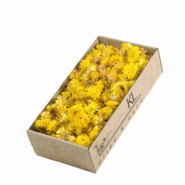 Fleurs Séchées Helichrysum Sommités 100gr Naturelles Jaune (1 Boîte) [RU-00217.000.5]