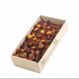 Fleurs Séchées Helichrysum Sommités 100gr Naturelles Rouge (1 Boîte) [RU-00227.000.5]