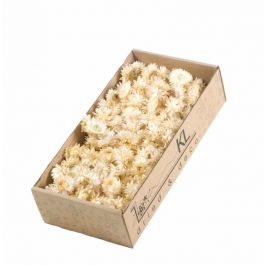 Fleurs Séchées Helichrysum Sommités 100gr Naturelles Blanc (1 Boîte) [RU-00229.000.5]