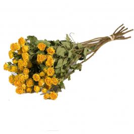 Fleurs Séchées Roses spray Naturelles Jaune (1 Paquet) [RU-01593.000.9]
