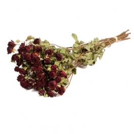 Fleurs Séchées Roses spray Naturelles Rouge foncé (1 Paquet) [RU-01596.000.9]
