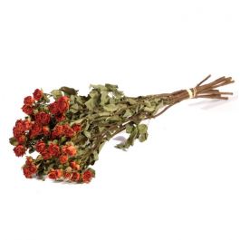 Fleurs Séchées Roses spray Naturelles Orange (1 Paquet) [RU-01598.000.9]