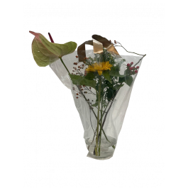 Douille avec poignées pour vases à fleurs grand fond 60x53x17cm (50 pcs) [SL003889A]