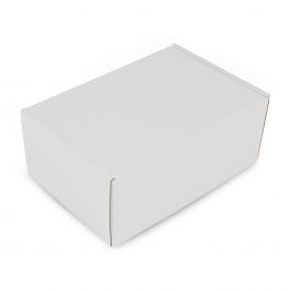 Carton pour Colis 22,5 x 15 x 9 cm Blanc (50 pcs) [FP-VPD098]